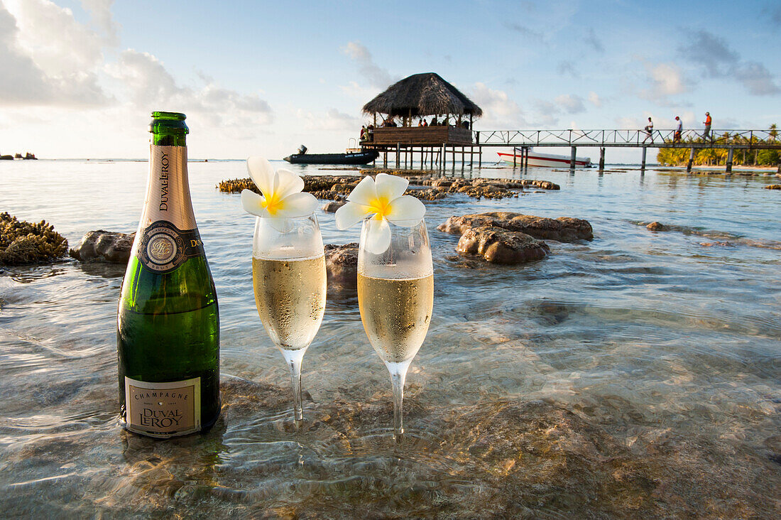 Champagnergläser mit Plumeria-Deko für Gäste des Expeditions-Kreuzfahrtschiff MS Hanseatic (Hapag-Lloyd Kreuzfahrten), Fakarava, Tuamotu-Inseln, Französisch Polynesien, Südpazifik