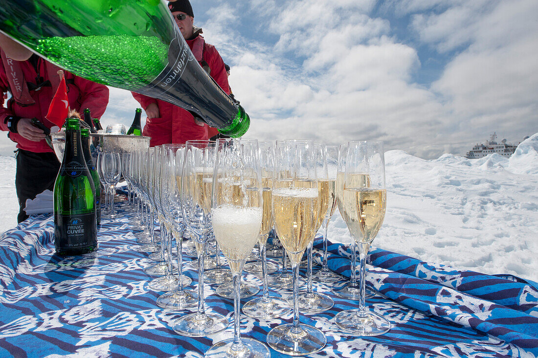Champagnerempfang auf einer Eisscholle für Gäste von Expeditions-Kreuzfahrtschiff MS Hanseatic (Hapag-Lloyd Kreuzfahrten), Weddell-Meer, Südshetland-Inseln, Antarktis