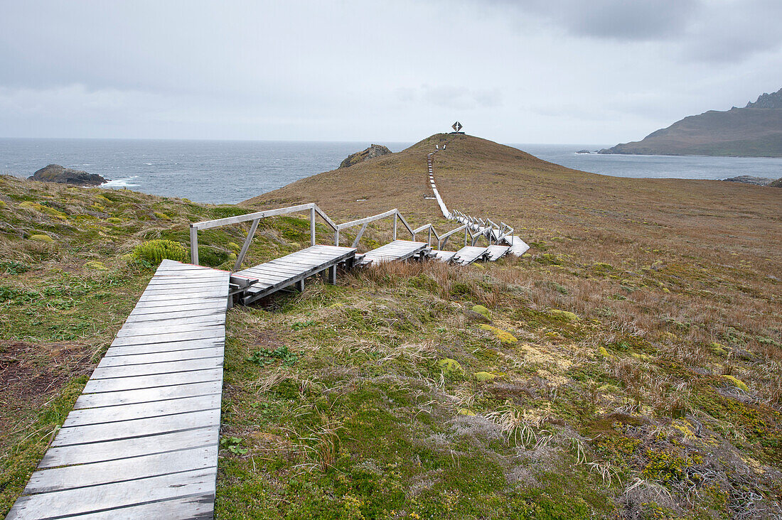 Bohlenpfad zum Albatross Monument am Kap Hoorn, Kap Hoorn Nationalpark, Magallanes y de la Antartica Chilena, Patagonien, Chile, Südamerika