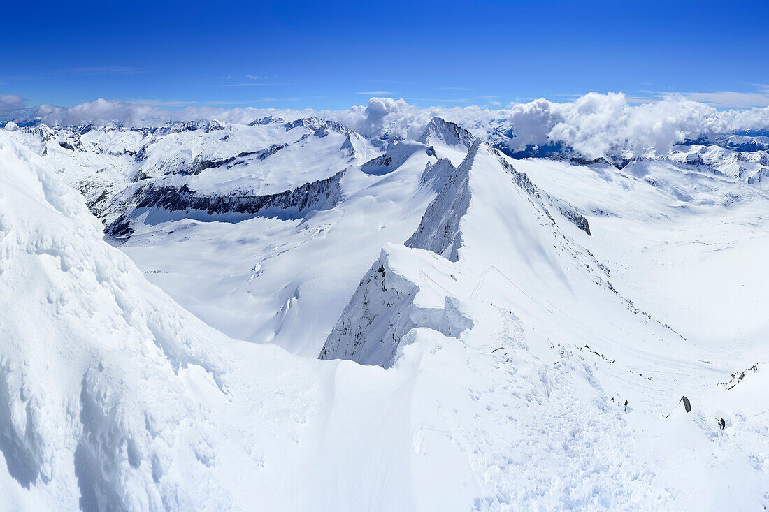 Schneegrat des Großen Möseler, Schwarzenstein, Dritte Hornspitze und Turnerkamp im Hintergrund, Zillertaler Alpen, Südtirol, Italien