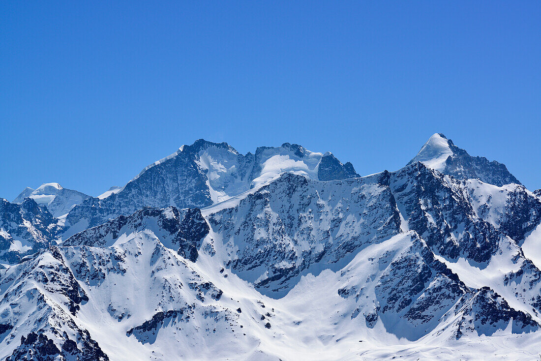 Snow-covered Bernina Range, view from Piz Lagrev, Oberhalbstein Alps, Engadin, Canton of Graubuenden, Switzerland