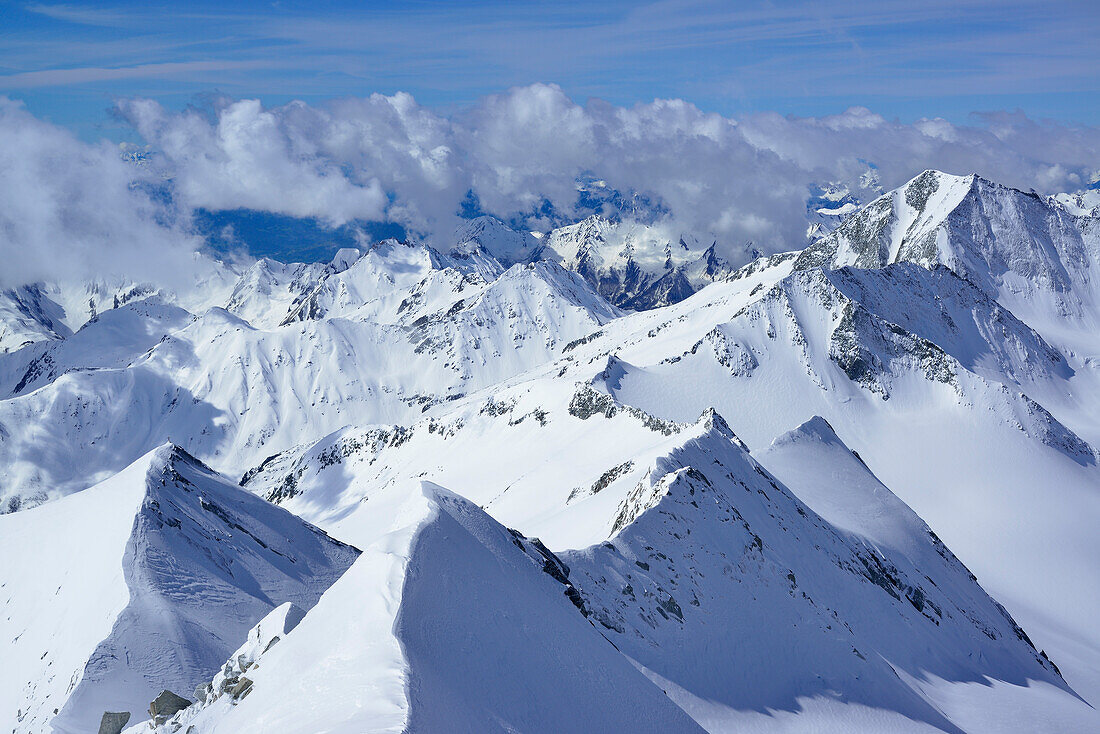 Schneegrate am Großen Möseler, Hoher Weißzint im Hintergrund, Zillertaler Alpen, Südtirol, Italien