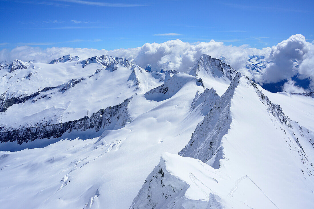 Schneegrate am Großen Möseler, Schwarzenstein, Dritte Hornspitze und Turnerkamp im Hintergrund, Zillertaler Alpen, Südtirol, Italien