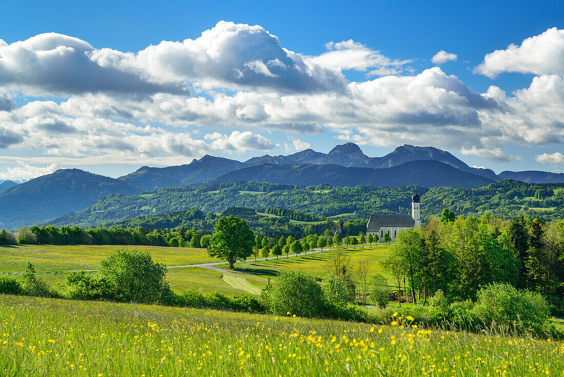 Pilgrimage Church St. Marinus und Anian with Mangfall Mountains in background, Wilparting, Irschenberg, Upper Bavaria, Bavaria, Germany