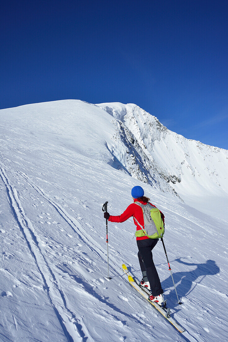 Female back-country skier ascending to Grossvenediger, Venediger Group, High Tauern National Park, Salzburg, Austria