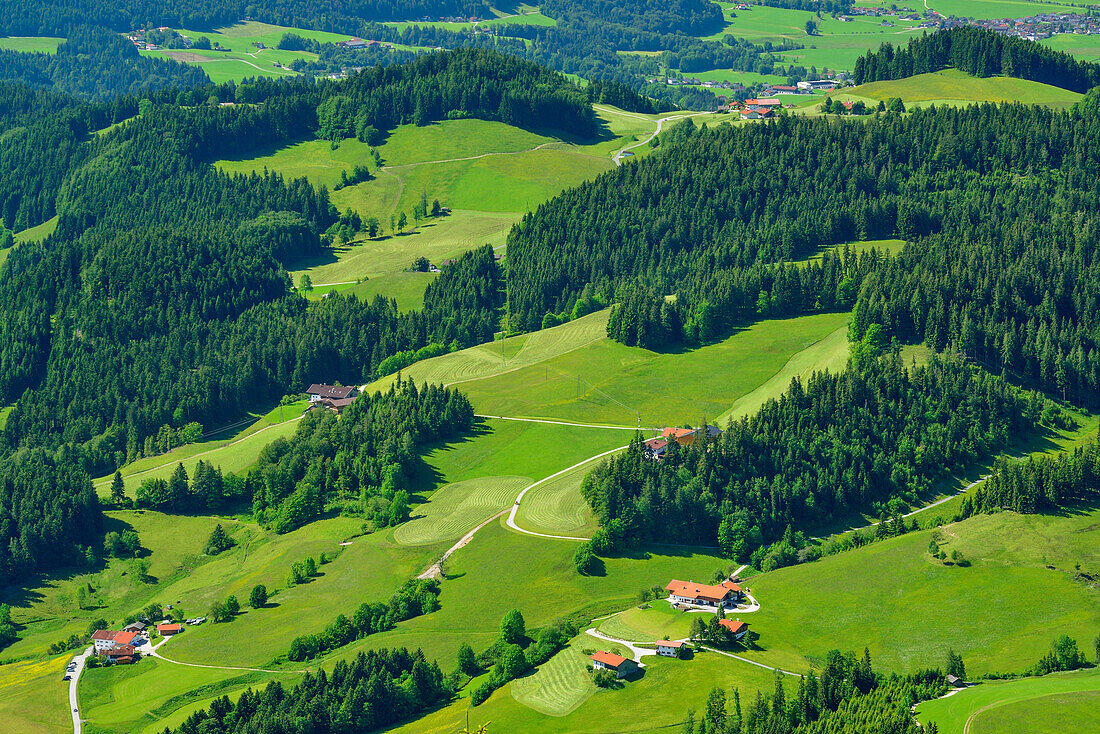 View to meadows and farmhouses at Erlerberg, Spitzstein, Chiemgau Alps, Tyrol, Austria
