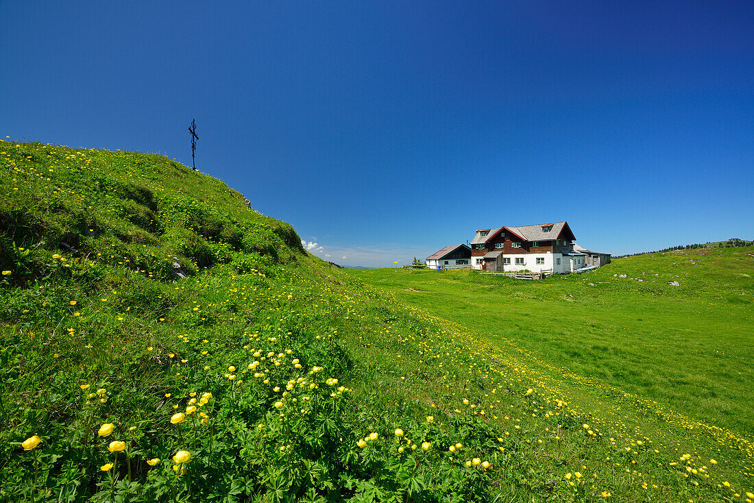 Blick über Blumenwiese auf Klausenhütte, Klausenalm, Chiemgauer Alpen, Oberbayern, Deutschland