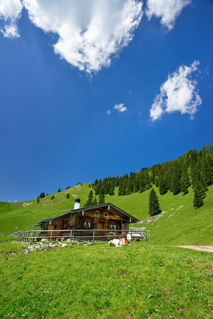 Alpine hut Neuhuettenalm, Fockenstein, Bavarian Prealps, Upper Bavaria, Bavaria, Germany