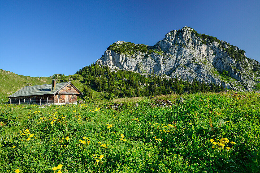 Alpine hut Sonnbergalm with Rossstein and Buchstein, Bavarian Prealps, Upper Bavaria, Bavaria, Germany