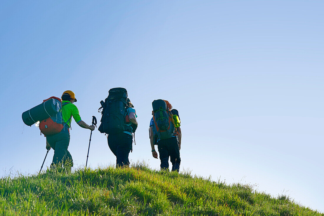 Drei Wanderer, Blauberge, Bayerische Voralpen, Oberbayern, Bayern, Deutschland