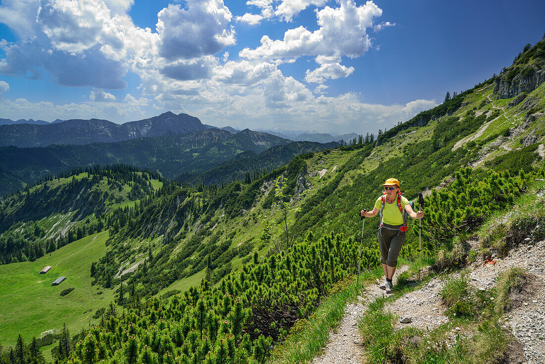 Female hiker ascending to Schinder, Bavarian Prealps, Upper Bavaria, Bavaria, Germany