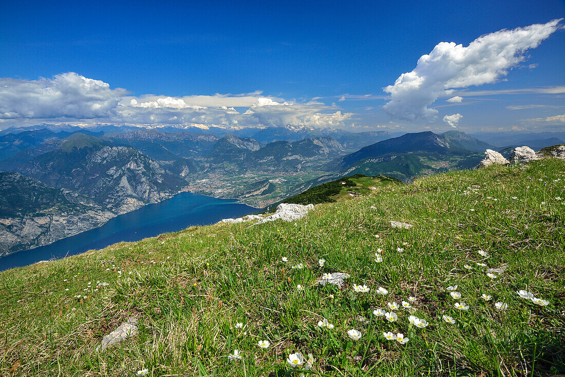 View over flower meadow to lake Garda, Monte Altissimo, Monte Baldo, Garda Mountains, Trentino, Italy