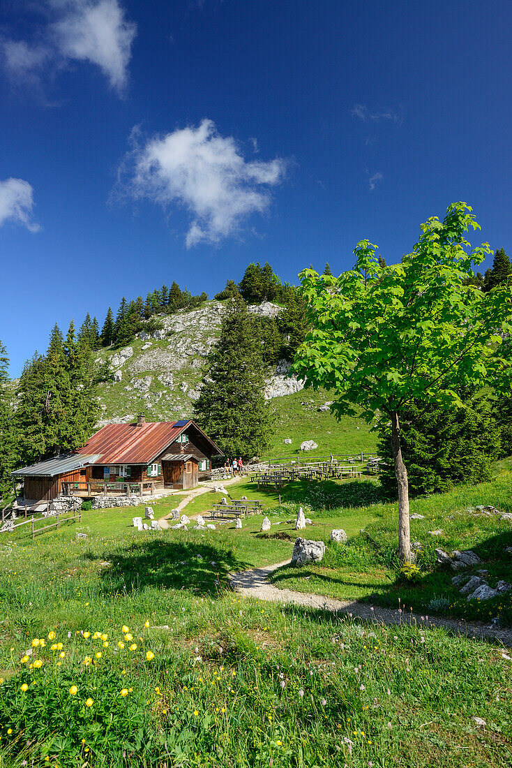 Hubertushütte, Breitenstein, Mangfallgebirge, Bayerische Voralpen, Oberbayern, Bayern, Deutschland