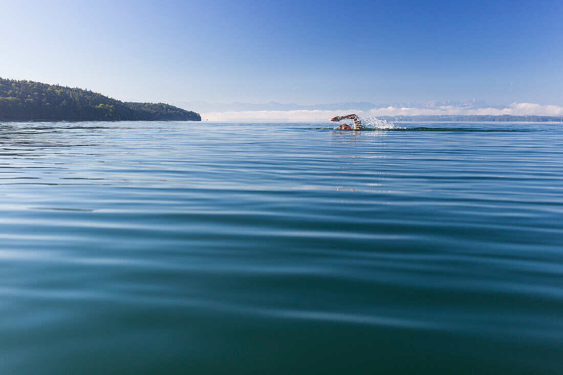 Man swimming in lake Starnberg, the Alps with mount Zugspitze in early morning fog, Berg, Upper Bavaria, Germany