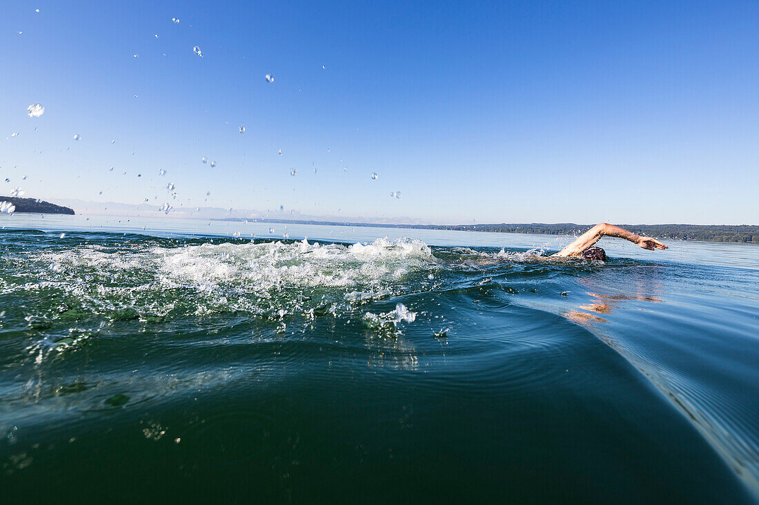 Man swimming in lake Starnberg, the Alps with mount Zugspitze in early morning fog, Berg, Upper Bavaria, Germany