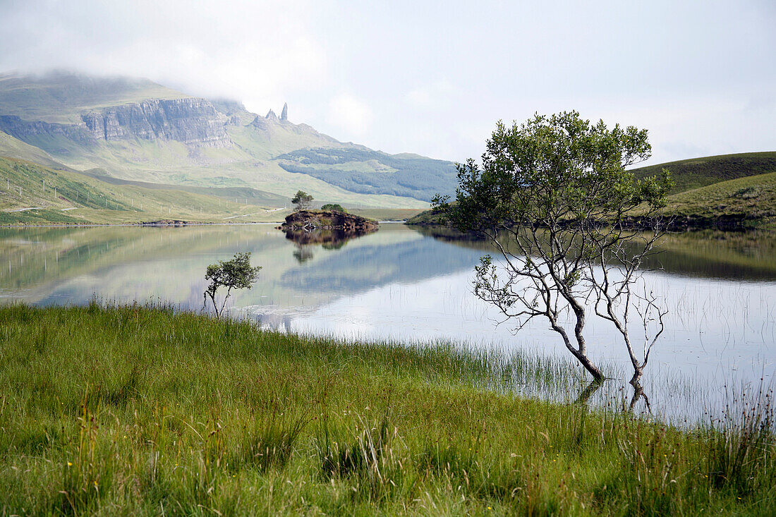 Loch Leathan mit einem kleinen Baum und dem Berg Old Man of Storr im Hintergrund, Isle of Skye, Schottland, Großbritannien, Europa