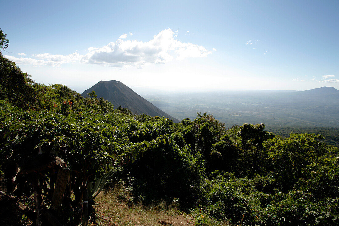 Lush landscape and Izalco Volcano, near Santa Ana, El Salvador, Central America