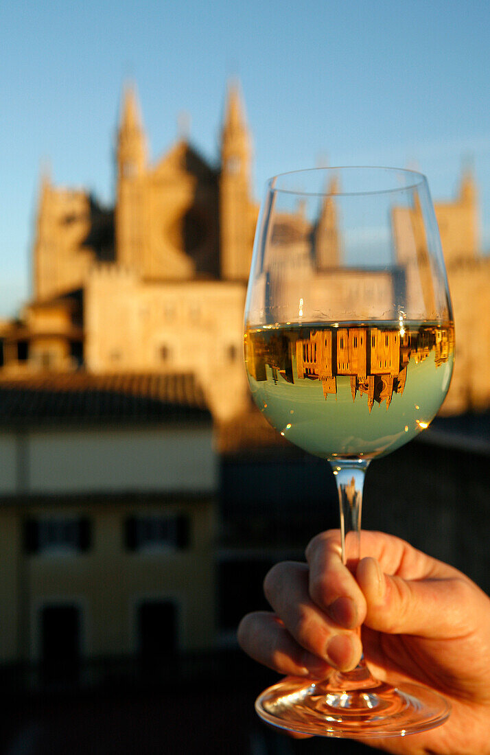 Hand holding glass of white wine with mirrored reflection of La Seu Palma Cathedral, Palma, Mallorca, Balearic Islands, Spain, Europe