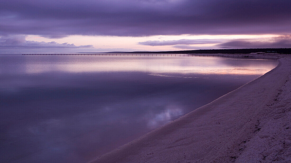 Beach at dawn in violet light, Shark Bay Road, near Denham-Hamelin Road, Western Australia, Australia