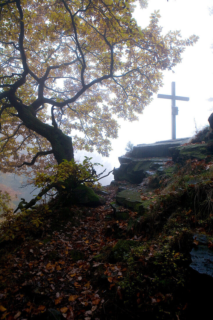 Gipfelkreuz im Wald nahe des Wüstegarten im Kellerwald bei Dodenhausen im Nationalpark Kellerwald-Edersee, Haina, Nordhessen, Hessen, Deutschland, Europa