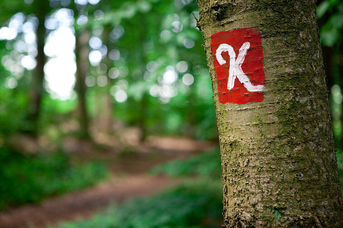 Das Zeichen des Kellerwaldsteigs an einem Baum im Kellerwald, Nationalpark Kellerwald-Edersee, Nordhessen, Hessen, Deutschland, Europa