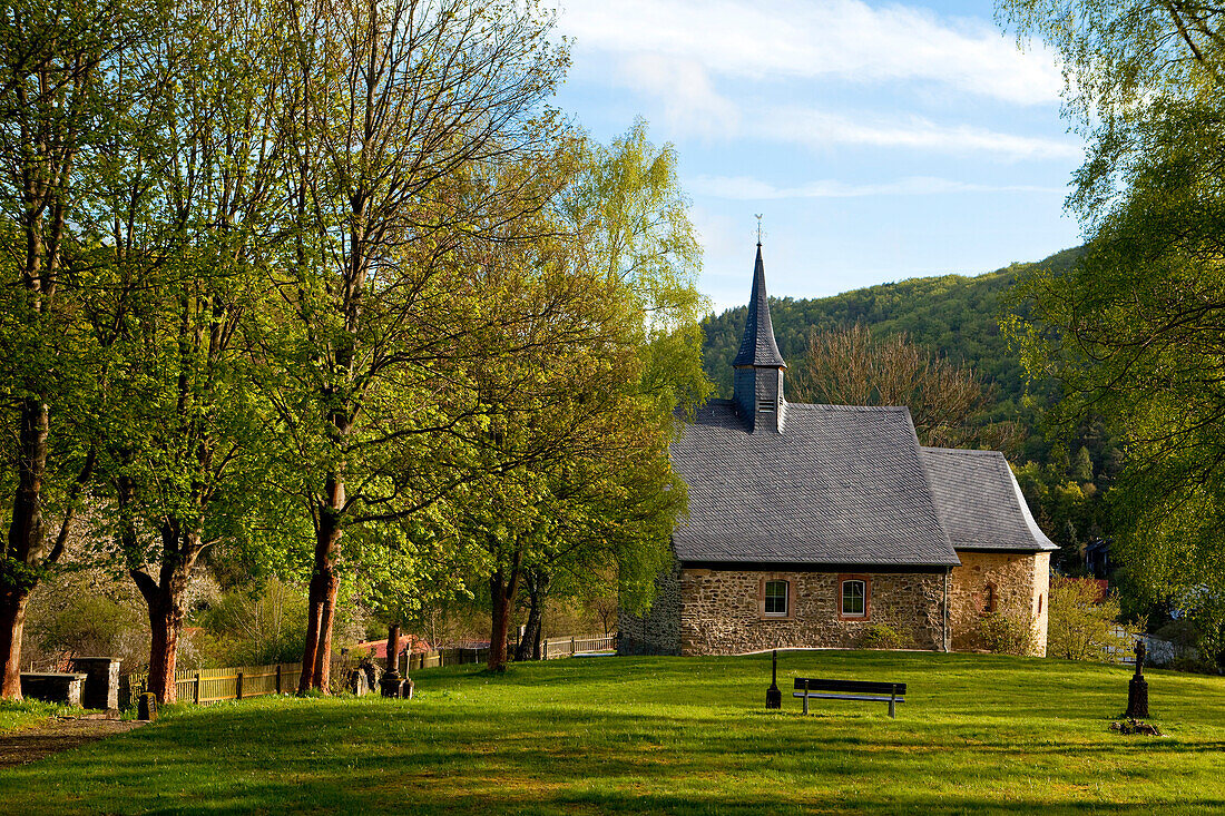 Early Gothic Church of Frebershausen with old graveyard and large green trees in Kellerwald-Edersee National Park, Frebershausen, Hesse, Germany, Europe