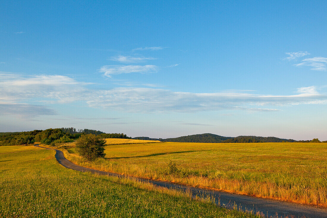 A path between fields in Kellerwald-Edersee National Park at sunset, Frankenau, Hesse, Germany, Europe