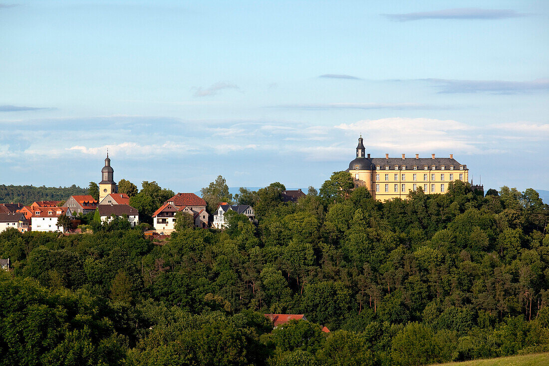 View of Friedrichstein Palace and the Nikolai church amongst green trees, Bad Wildungen, Hesse, Germany, Europe