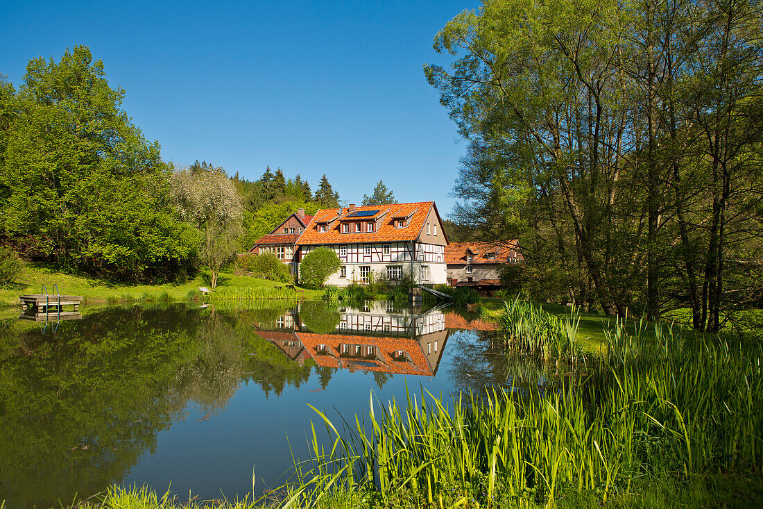 Blick über den Badesee vom Hotel Landhaus Bärenmühle im Nationalpark Kellerwald-Edersee im Frühling, Frankenau, Nordhessen, Hessen, Deutschland, Europa