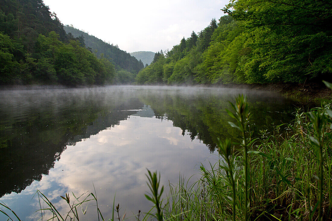 Mirrored view of Banfe Bucht at Lake Edersee at dawn with mist and green grass in Kellerwald-Edersee National Park, Lake Edersee, Hesse, Germany, Europe