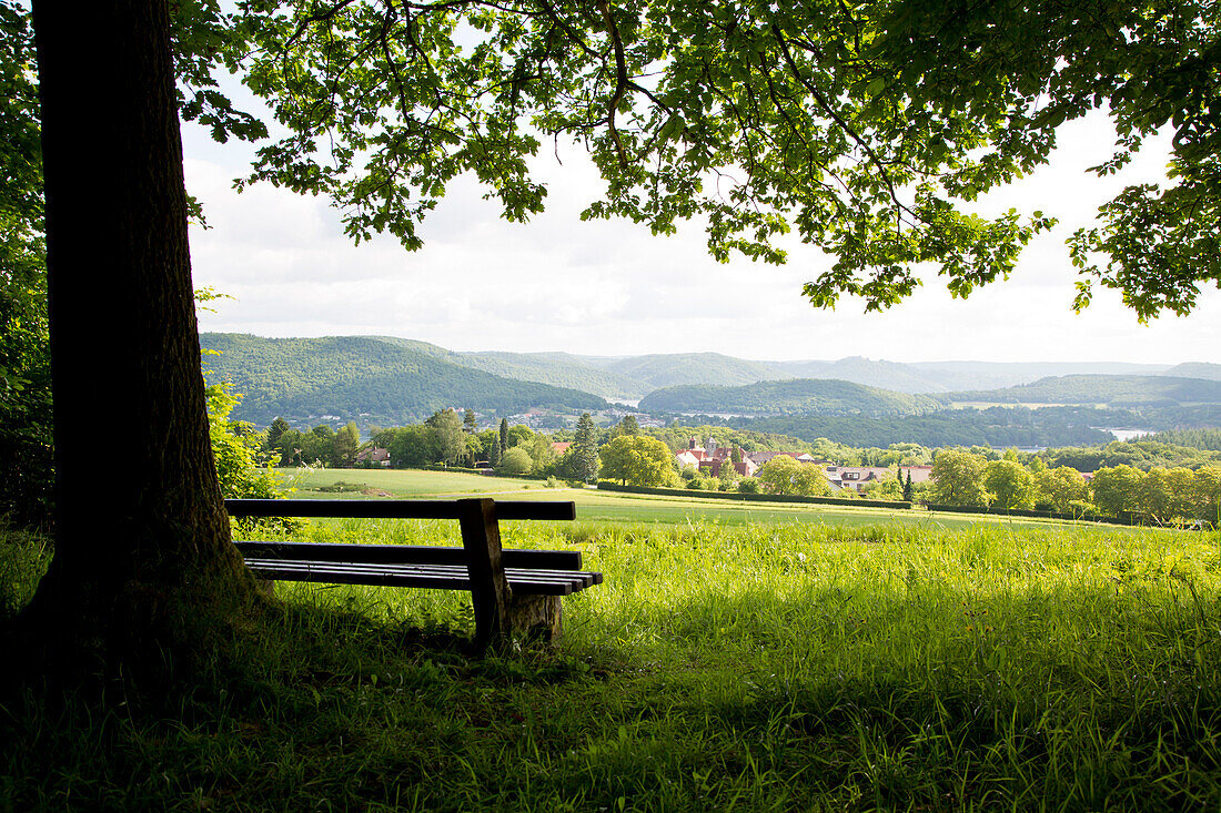Der Fünf Seen Blick über den Edersee mit einer Sitzbank unter einem schattenspendenden Baum, Bringhausen, Edersee, Nordhessen, Deutschland, Europa