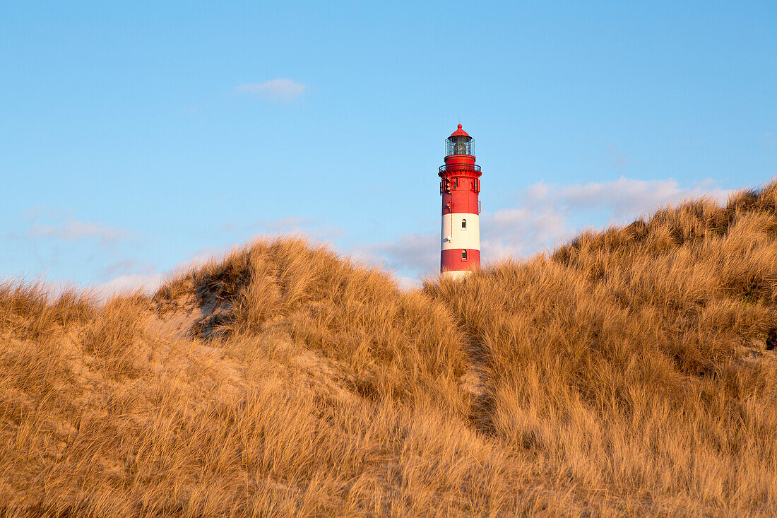 Amrum Lighthouse behind sand dunes on a sunny winter's day, Amrum island, Schleswig-Holstein, Germany, Europe