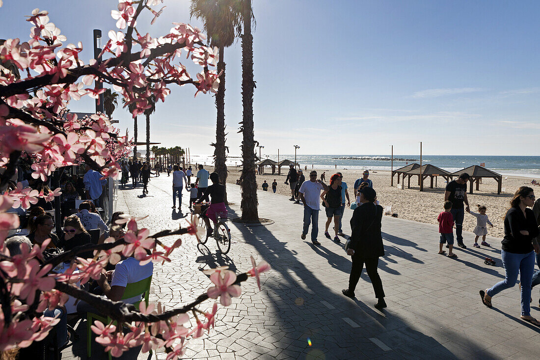 Strandpromenade, Tayelet, Tel-Aviv, Israel, Naher Osten, Asien