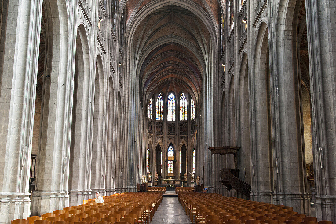 Interior view of abbey church Saint Waltrude, Sainte-Waudru, Mons, Hennegau, Wallonie, Belgium, Europe