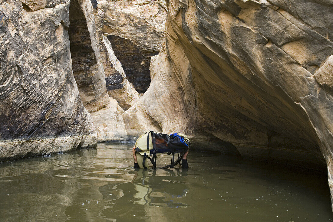 Whit Richardson submerged in pool of nasty water holding pack above his head and water while descending Miners Hollow or Knotted Rope Canyon, San Rafael Swell, Utah.  Whit Richardson / Aurora Photos 