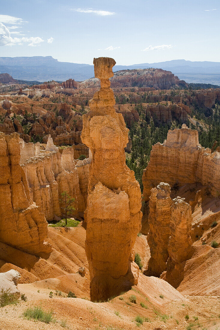 Giant hoodoo rock formation, Bryce Canyon National Park, Utah.