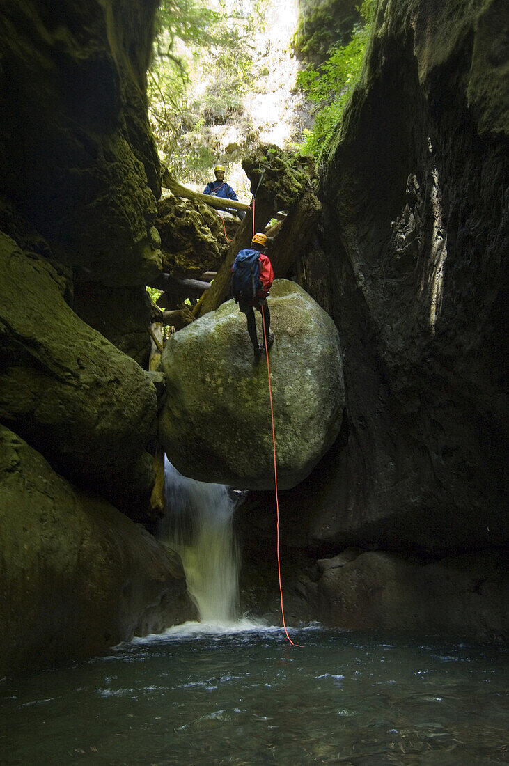 Davis Creek, South of Mount Rainier, WA. Canyoning is a new sport that consists in travelling down river canyons by walking, gliding, climbing, rappelling abseiling, swimming or jumping. Joe Budgen red, rappels abseils, down past a Indiana Jones like boul