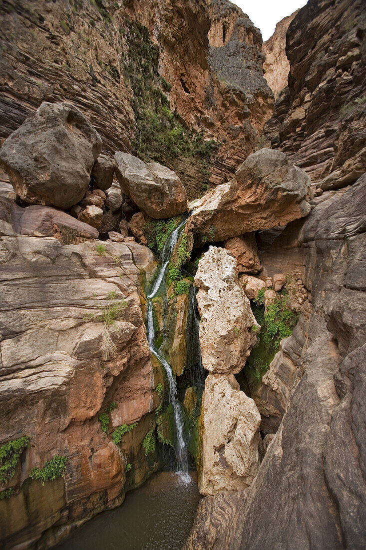 Elves Chasm, Grand Canyon, Arizona