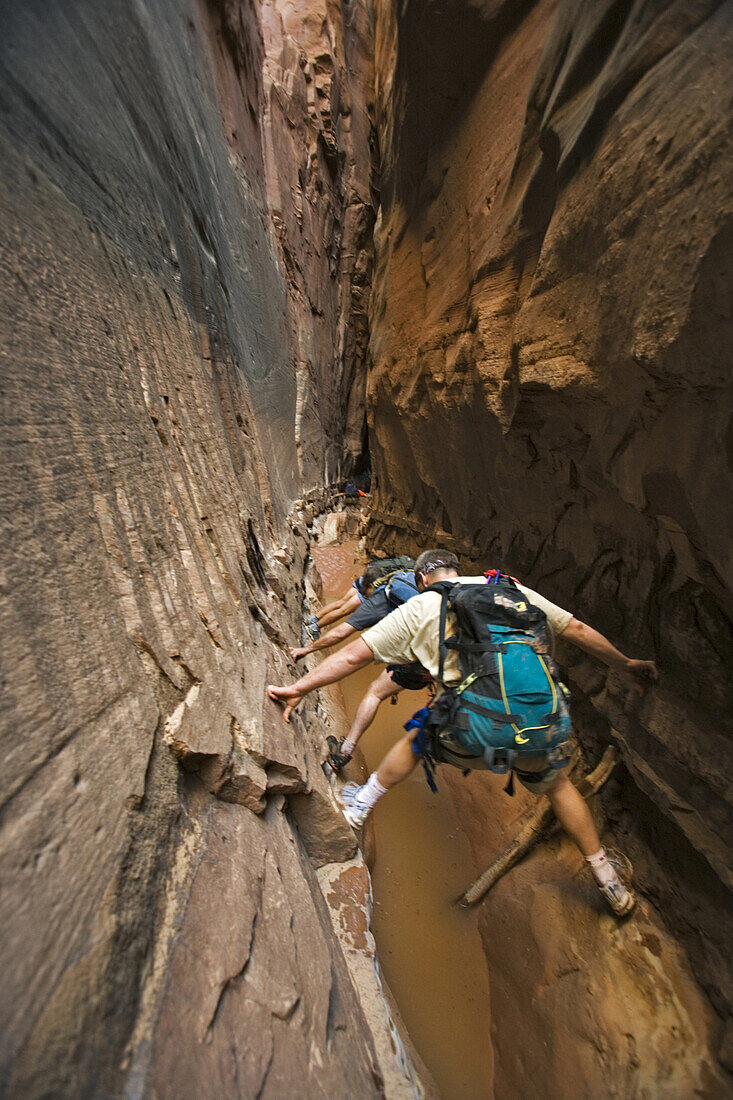 Front to back, Kevin Midkiff, Paul Midkiff, Jane Guyer and Brad Tollefson canyoneering in Bluejohn canyon, Robbers Roost area, Utah.