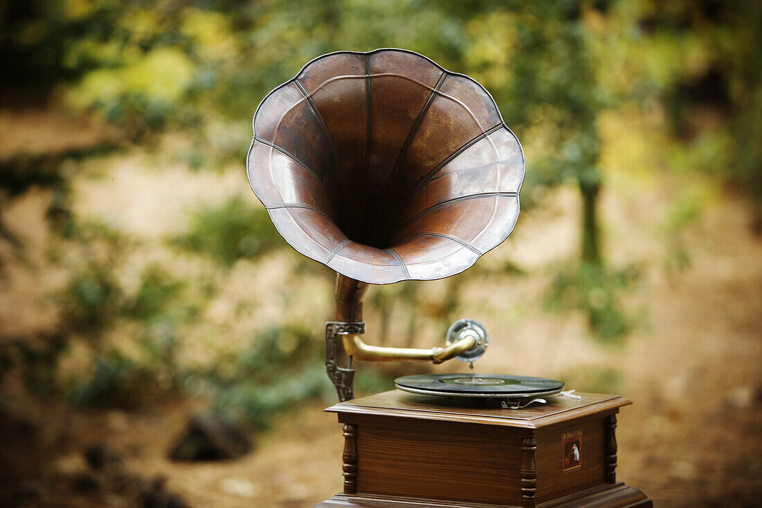 A gramophone in the woods.