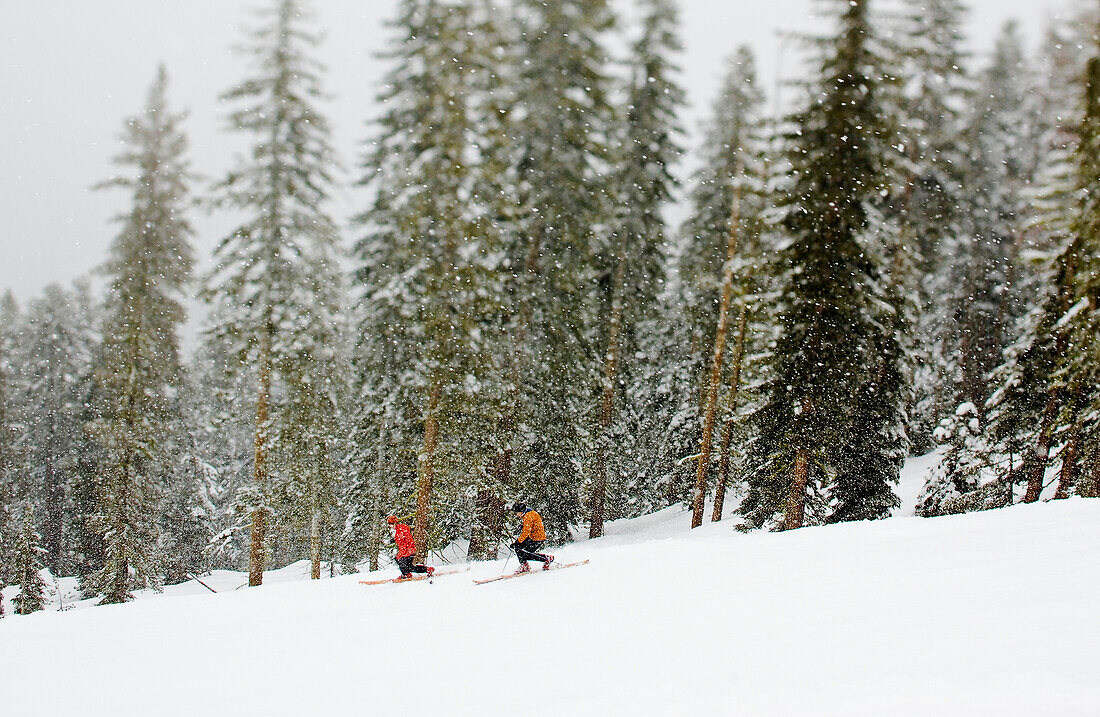 A pair of telemark skiers an April snow storm in California's Sierra mountains.