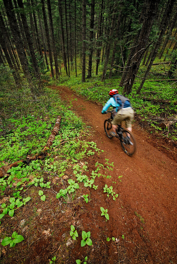 Senja Palonen mountain biking in the Post Canyon area. Hood River, Oregon, USA