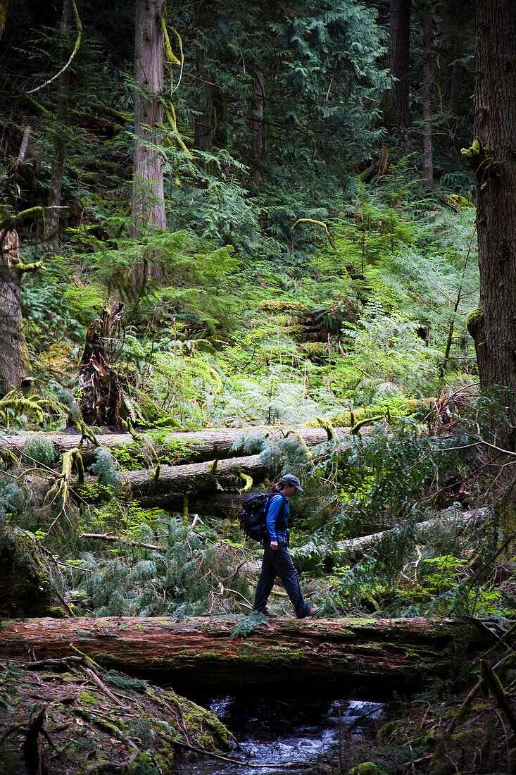 NORTH BEND, WASHINGTON. Crossing a fallen log, Allison Young stands out against a wet, green landscape.