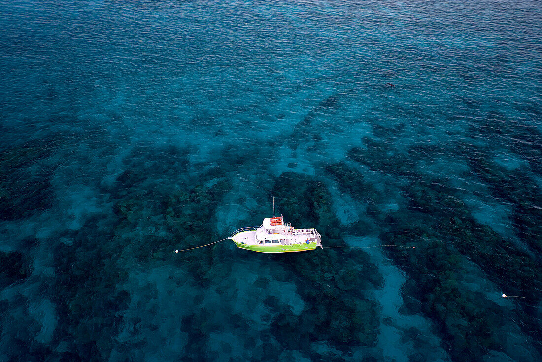 A commercial dive boat lies tethered to a mooring buoy on Molasses Reef, Key Largo, Florida.  This aerial view provides a prospective of the spur and groove type of coral formation typical in the Florida Keys, wherein the coral formations are separated by