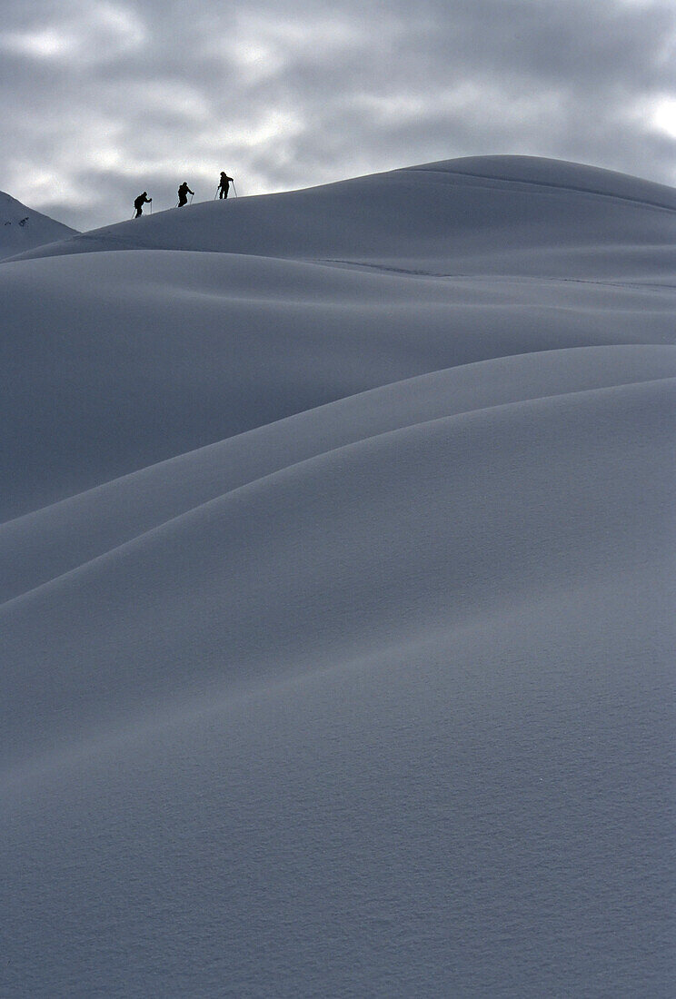 Backcountry skiing on great snow at Roger's Pass near the Wheeler Hut enroute to Sapphire Col in Glacier National Park, BC Canada - Christian Denckla, Greg Franson & Cooper Mallozzi.