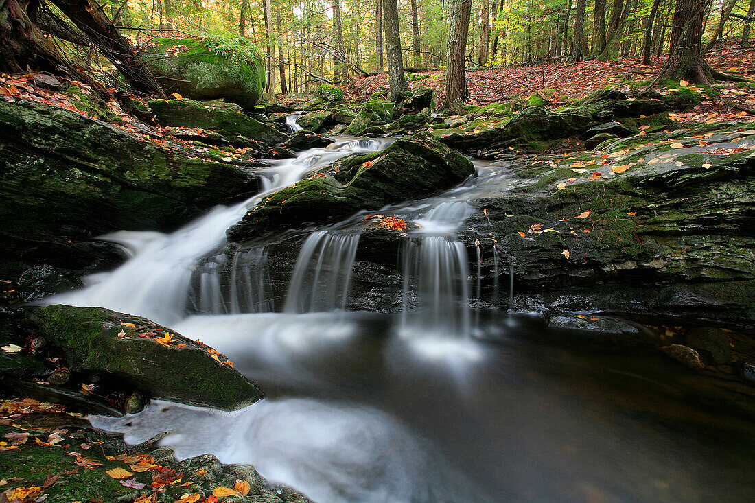 Water cascades over rocks in autumn stream, Hope, Maine