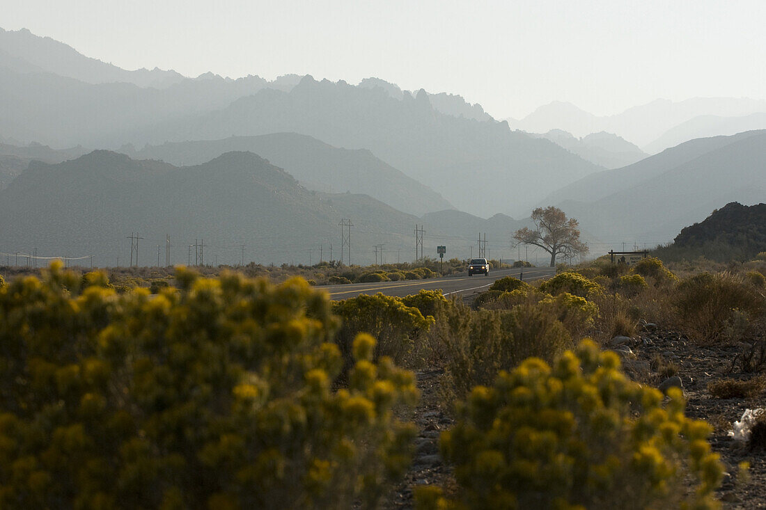 A road entering the eastern side of the Sierras, California.