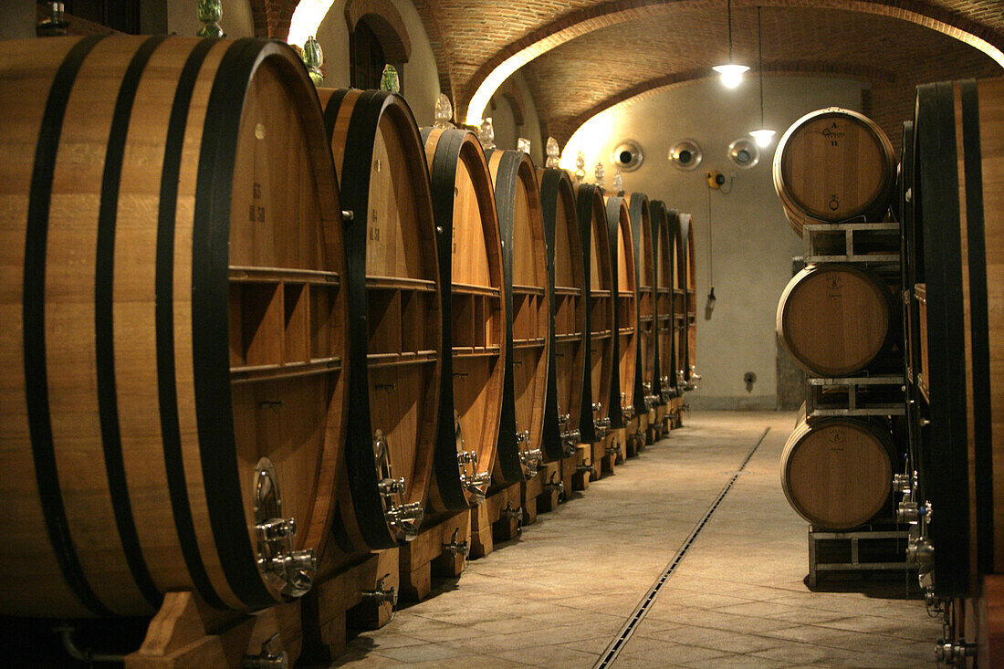 Red wine ages in large oak casks and small oak barrels in Piedmont, Italy.