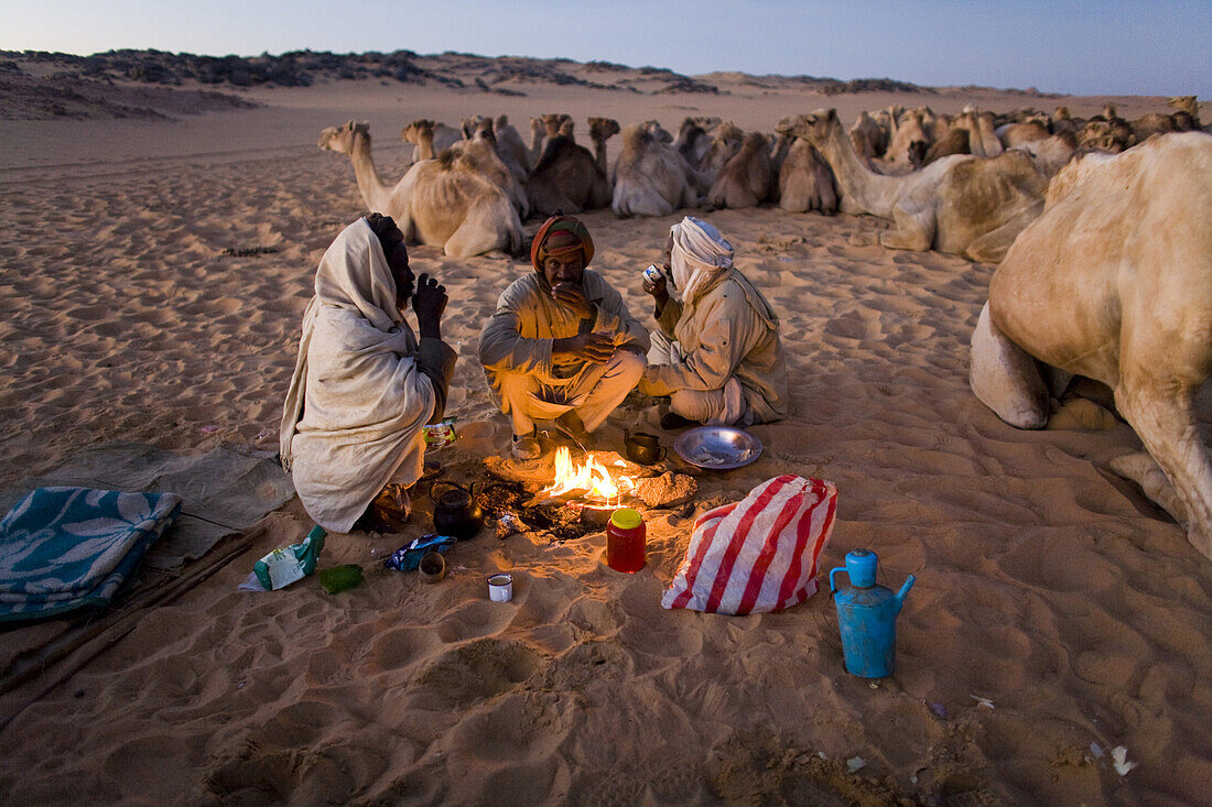 Camel herders gather for breakfast tea as they travel through the Sahara desert, Sudan on a camel caravan.