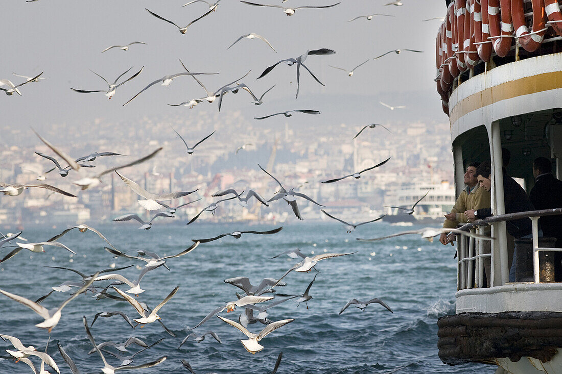 Istanbul, Turkey - January, 2008:Flock of sea gulls following ferry boat traffic in Istanbul, Turkey across the Bosphorus, which separates Europe from Asia.